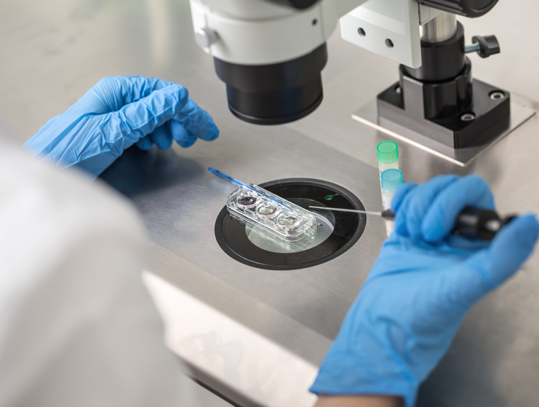 Mãos de um médico(a) utilizando luvas azuis e manuseando equipamento, realizando uma fertilização in vitro.