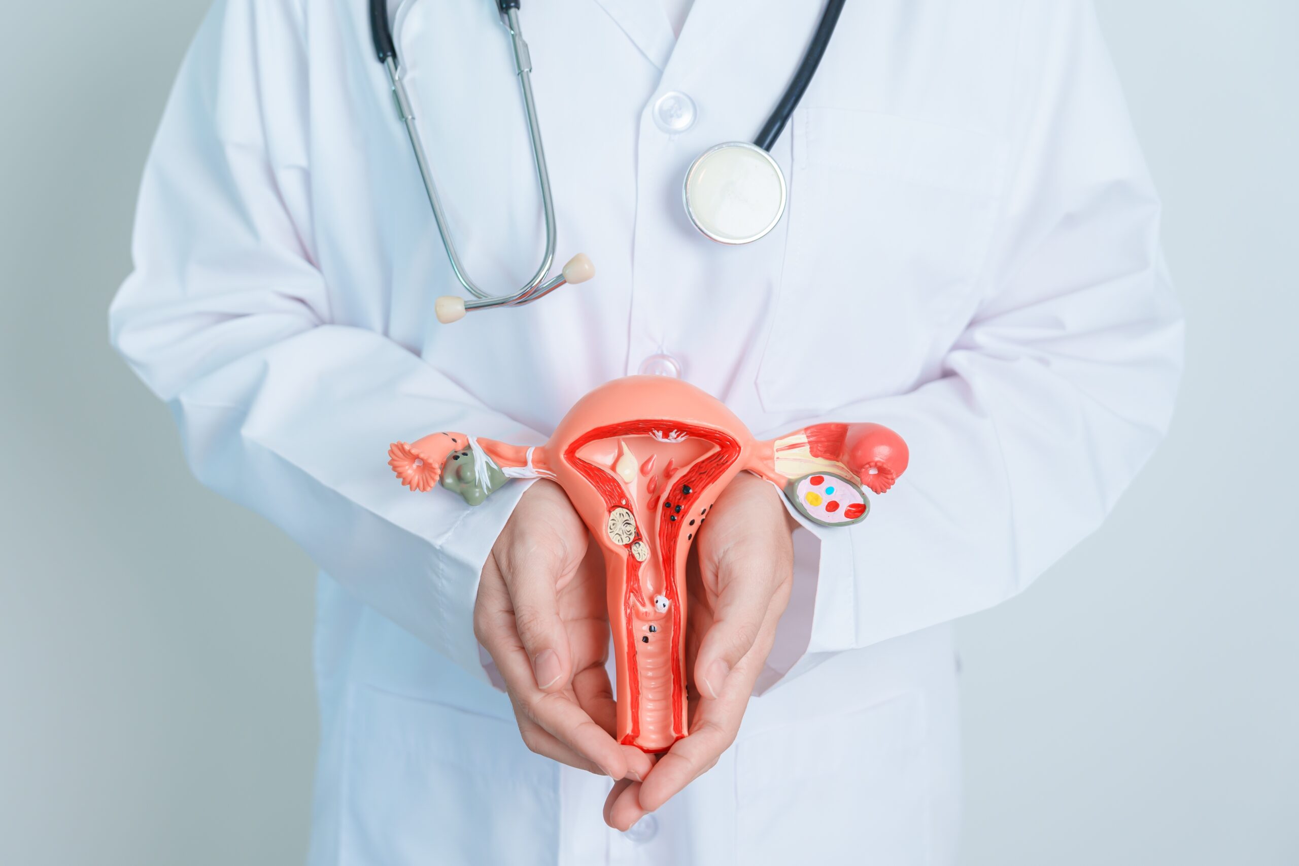 Médico com um modelo de órgão reprodutor feminino em suas mãos, remetendo à ginecologia.