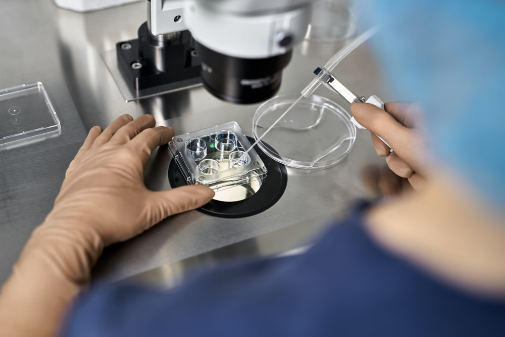 O médico com luvas de látex marrons controla a verificação do processo de fertilização in vitro dentro das placas de Petri com a ajuda do microscópio no laboratório de fertilização in vitro.