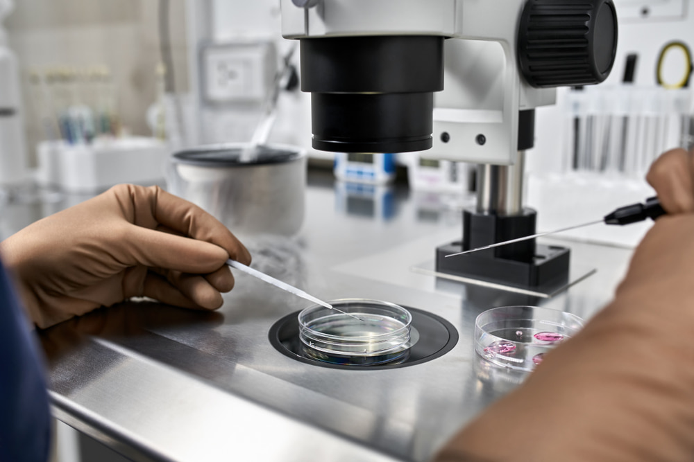 Especialista com luva marrom em laboratório que controla a verificação do processo de fertilização in vitro.