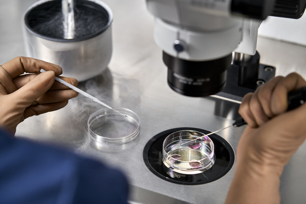 Pessoa manuseando instrumentos de fefrtilização in vitro.
