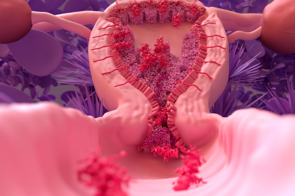 Imagem ilustrando as fases da menstruação: menstruação, fase folicular, ovulação.