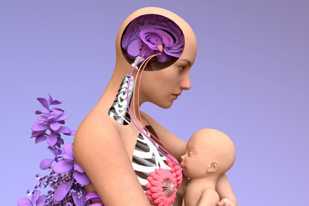Imagem ilustrando uma mãe amamentando bebê.